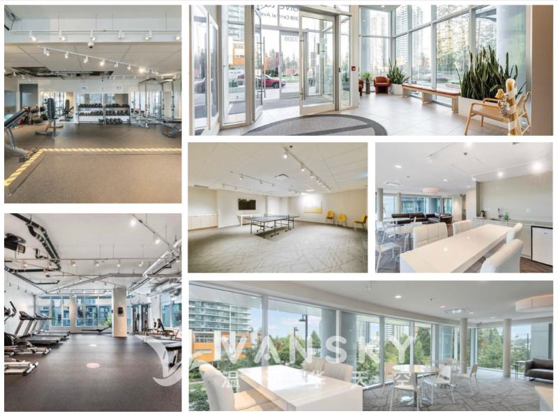 250220085333_evolve collage03 - amenities.png